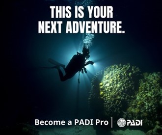 Master Scuba Diver Trainer (MSDT)